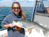 Merrimack River striper caught by Angie